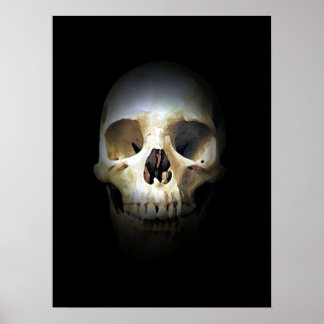 Affiche Imaginaire crâne Art Rock Punk Métal lourd