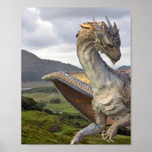 Affiche Imaginaire de dragon de bronze