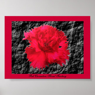 Affiche Imaginaire Floral Carnation Rouge