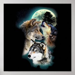 Affiche Imaginaire Wolf Moon Mountain