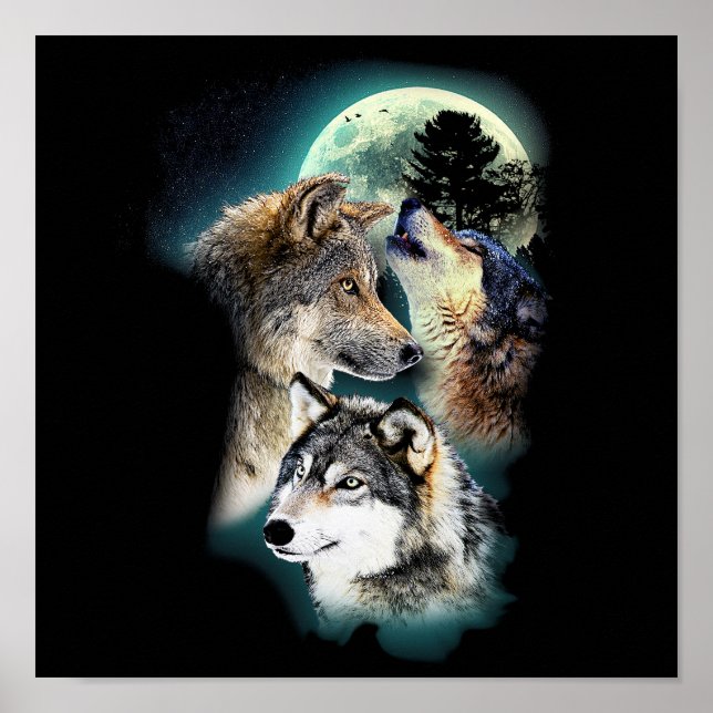 Affiche Imaginaire Wolf Moon Mountain (Devant)