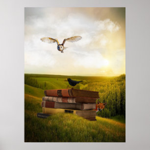 Affiche Imagination Reading