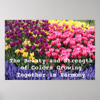 Affiche IMG_5044, The Beauty and Strength of Colours Gro..