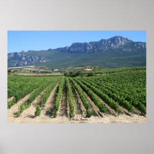Affiche IMG_6159, La Rioja, Espagne