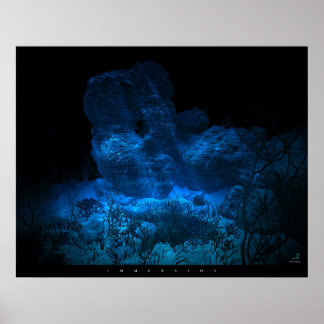 Affiche Immersion