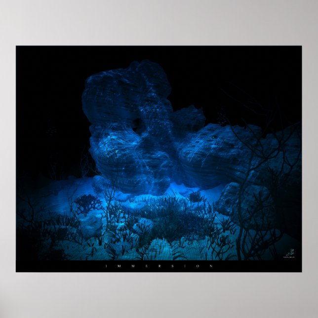 Affiche Immersion (Devant)