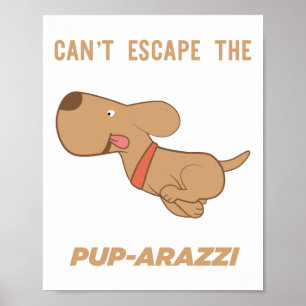 Affiche impossible d'échapper au pup-arazzi