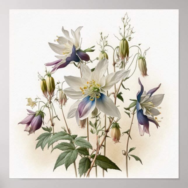 Affiche Impression Artistique de Fleurs de Colombi (Devant)
