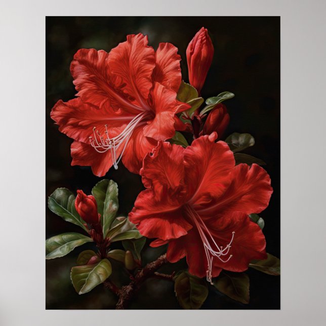 Affiche Impression Artistique Fleurs d'Azalée Roug (Devant)