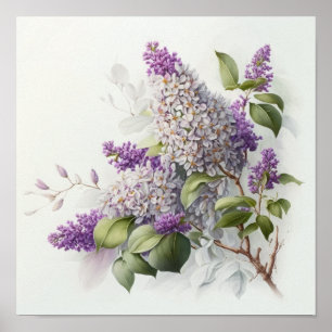Affiche Impression Artistique Fleurs de Lilas