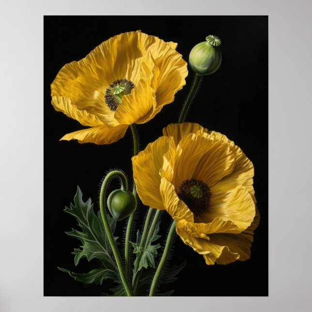 Affiche Impression Artistique Fleurs de Pavot de C (Devant)