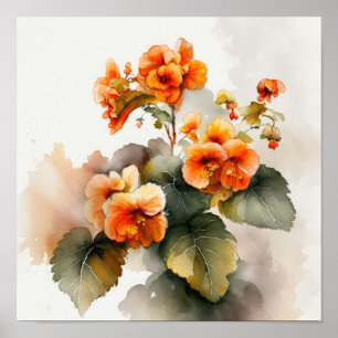 Affiche Impression d'Art Fleur de Bégonias Orange