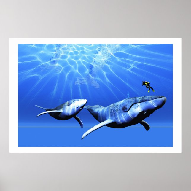 AFFICHE IMPRIMANTE (Devant)