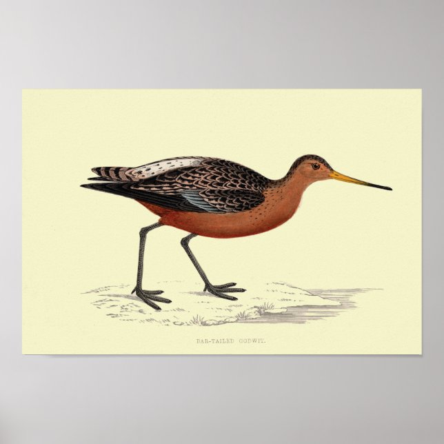AFFICHE IMPRIMANTE GODWIT TAILLÉE BAR (Devant)