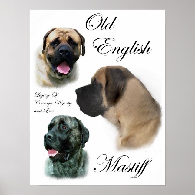 Affiche Imprimantes d'art Mastiff en anglais (Devant)