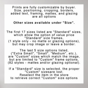 AFFICHE IMPRIMANTES - INFO - PERSONNALISATION / TAILLE