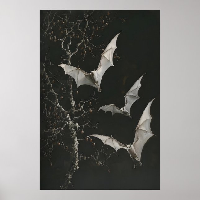 Affiche Imprimé d'art de chauves-souris frugivores albinos (Devant)