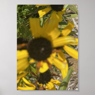 Affiche Imprimé floral jaune grisfforaday