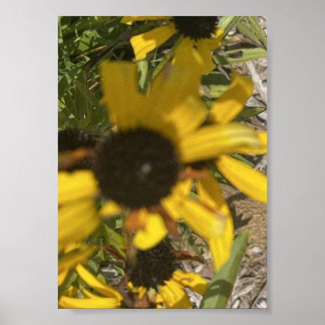 Affiche Imprimé floral jaune grisfforaday (Devant)