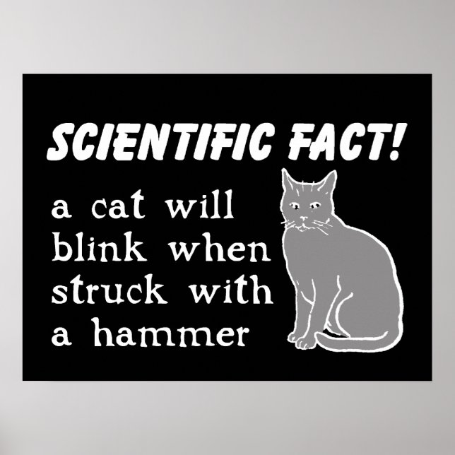 Affiche imprimée drôle Chat Marteau Humour (Devant)