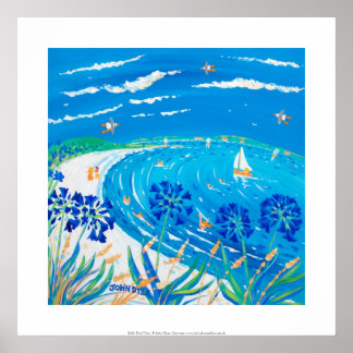 Affiche Imprimer : Agapanthus, Plage de Pentle Bay, Tresco