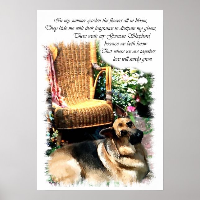 Affiche Imprimer berger allemand (Devant)