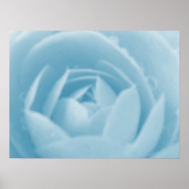 Affiche Imprimer Camellia Whirlpool (Devant)