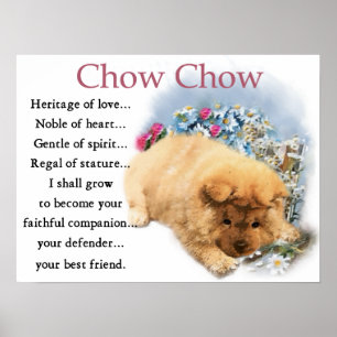 Affiche Imprimer Chow Chow Puppe Art