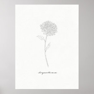 Affiche Imprimer Chrysanthemum