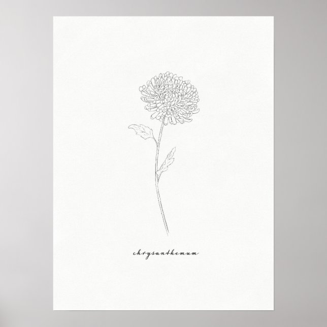 Affiche Imprimer Chrysanthemum (Devant)