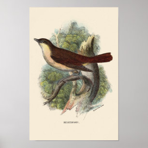 AFFICHE IMPRIMER DE NUIT