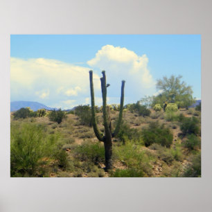 Affiche Imprimer la beauté de la surface