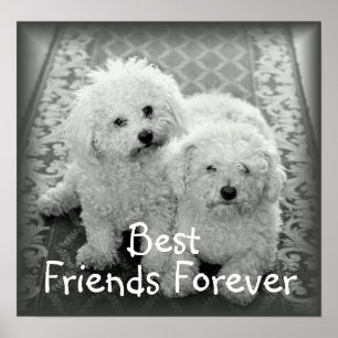 Affiche Imprimer l'affiche Best Friends Forever