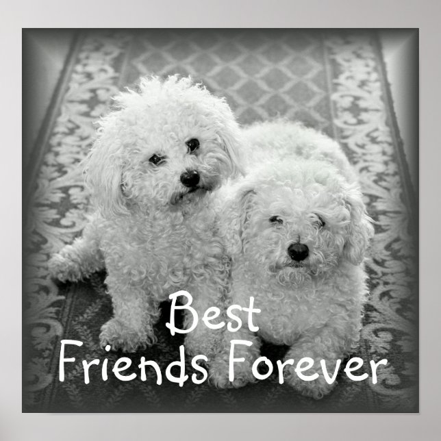 Affiche Imprimer l'affiche Best Friends Forever (Devant)