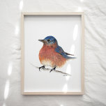 Affiche Imprimer l'aquarelle Bleu<br><div class="desc">Une aquarelle douce et mignonne de bleuet et une peinture au crayon coloré par Jennifer Steffen.</div>