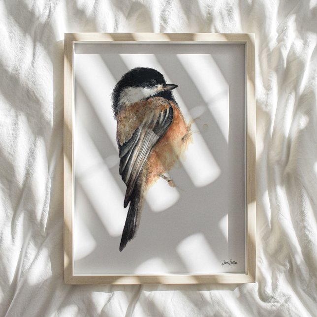 Affiche Imprimer l'aquarelle de poulet (Chickadee Watercolor Art Print from Jenn's Emporium. )