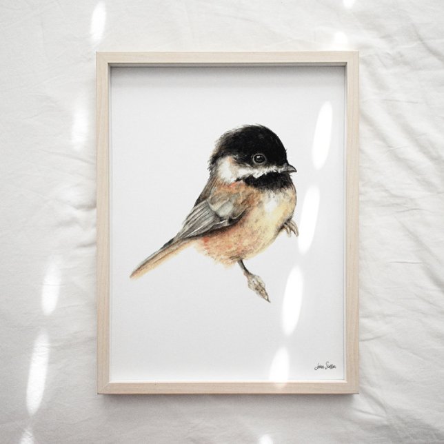 Affiche Imprimer l'aquarelle de poulet (Chickadee Watercolor Art Print
from Jennifer Steffen, Jenn Steffen Art. )