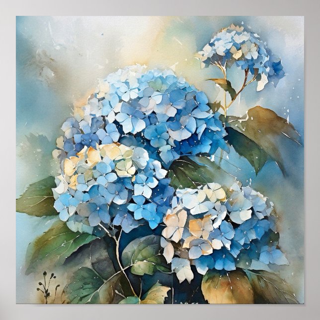 Affiche Imprimer l'aquarelle Hydrangea (Devant)