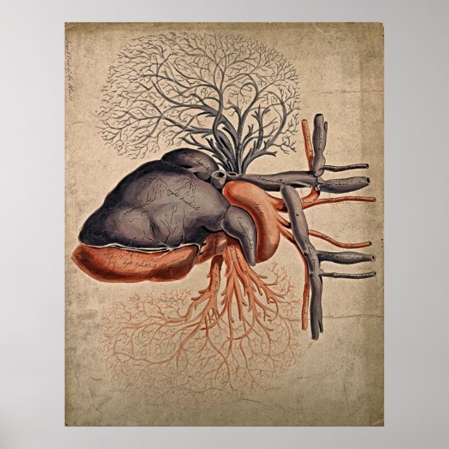 Affiche Imprimer l'aquarelle Vintage (Devant)
