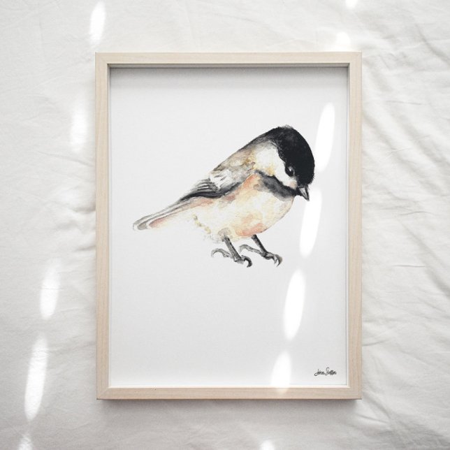 Affiche Imprimer l'art du chickadee (Chickadee Art Print from Jenn's Emporium. )
