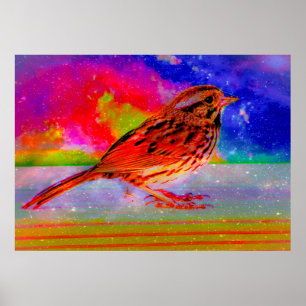 Affiche Imprimer l'art du rêve d'oiseaux cosmiques"