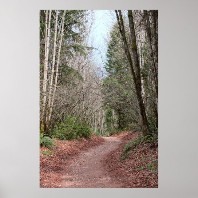 Affiche Imprimer le chemin de ville rouge (Devant)