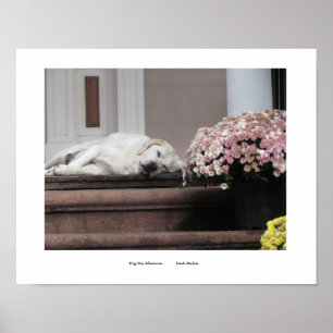 Affiche Imprimer le jour du chien après-midi