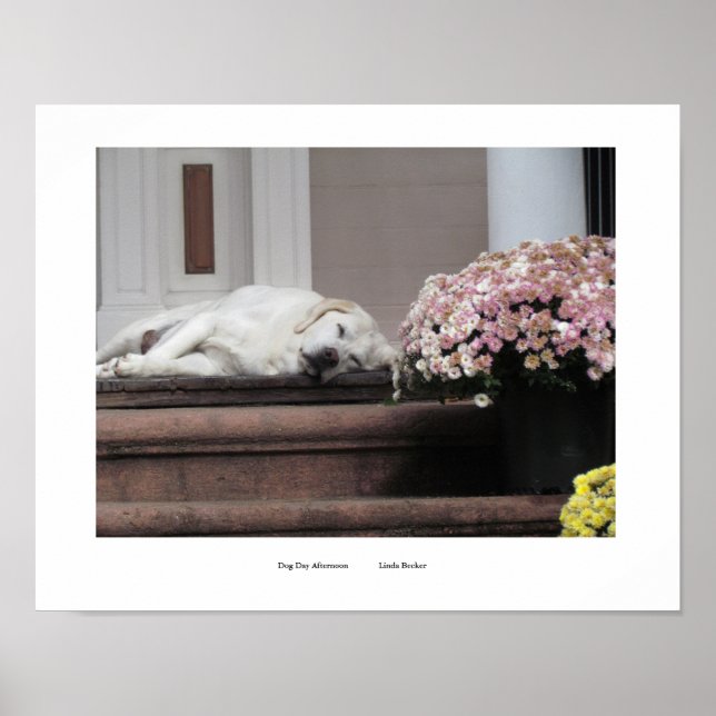 Affiche Imprimer le jour du chien après-midi (Devant)