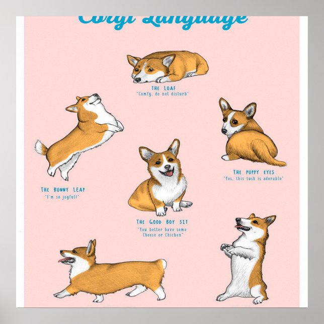 Affiche Imprimer le langage Corgi (Devant)