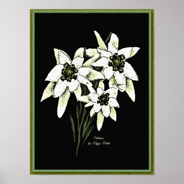 Affiche Imprimer l'oeuvre Edelweiss (Devant)