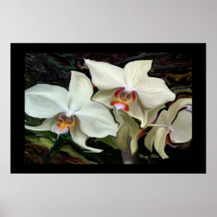 AFFICHE IMPRIMER L'ORCHID MAGIQUE DE MINUIT