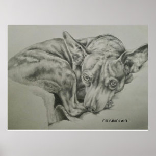 Affiche Imprimer, Matte )MEET SAM par CR Sinclair