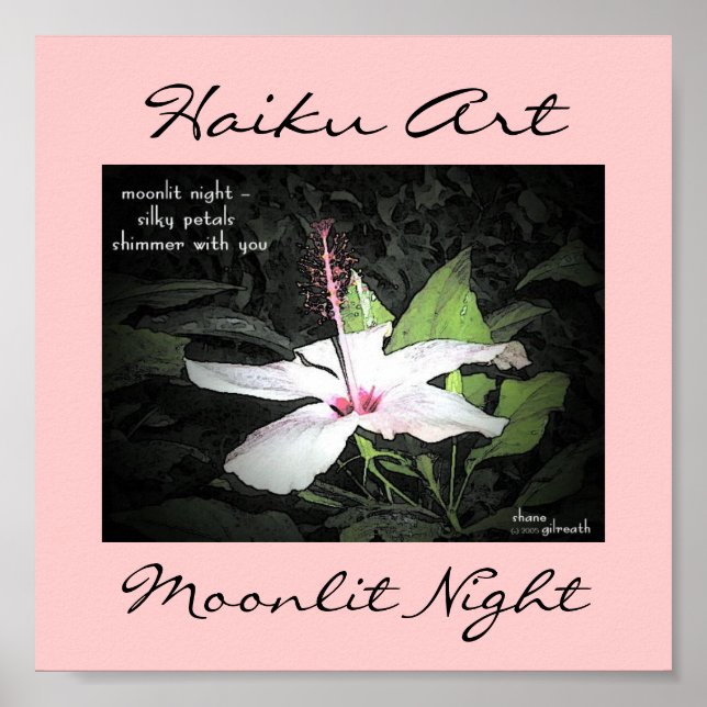 Affiche Imprimer Moonlit Night Haiku (Devant)