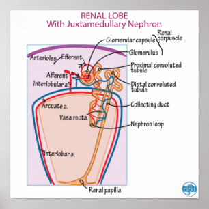 Affiche Imprimer, Papier d'affichage de valeur (Matte)